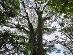 -水濂山森林公园