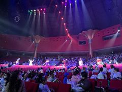 -珠海横琴长隆《卡卡虎奇遇记》