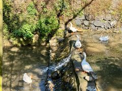 -塔川景区