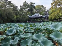 -无锡蠡湖国家湿地公园-蠡园