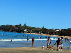 -Takapuna Beach Cafe