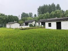 -溱湖国家湿地公园