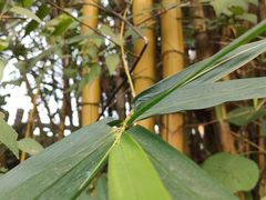 -水濂山森林公园