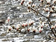 -东华门大街小区