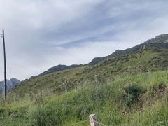 -扁都口生态休闲旅游区