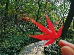 -杭州半山国家森林公园