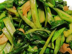 油渣炒菜心-金鸭季·北京烤鸭(深业上城店)