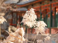 -颐和园