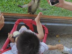 -深圳野生动物园