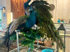 -西双版纳融创皇冠假日度假酒店