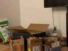 -欣宠猫屋·矮脚拿破仑·蓝金金渐层