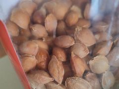 -张掖大佛寺景区