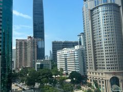 -凤凰印象公寓(深圳罗湖大剧院东门店)