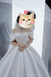 点击看大图 -至臻微拉婚纱摄影