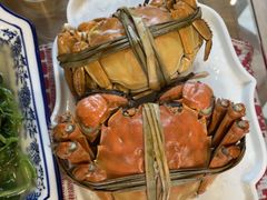 -水岸居湖景农家乐·阳澄湖大闸蟹