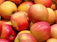 -浦江城市生活广场(江月路店)