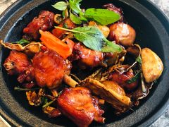 三杯鸡-鹿港小镇(中关村店)