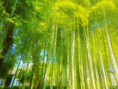 -兰亭风景区