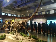 -自贡恐龙博物馆