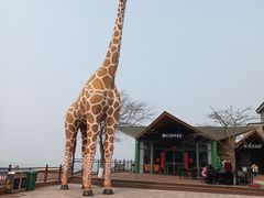 -西霞口神雕山野生动物世界