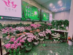 -阅年轻·AI家庭健康体质调理