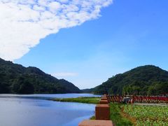 -广州市石门国家森林公园