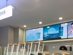 -雾与山茶(大禹城店)