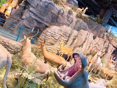 -陕西自然博物馆