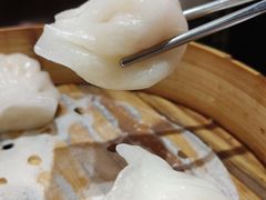 虾饺王-高第街56号港式餐厅·精选(世茂广场宽厚里大明湖店)
