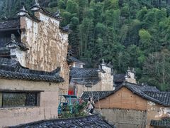 -杨家堂村