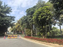 -福建鲤鱼洲酒店