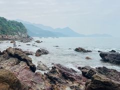 -杨梅坑