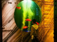 -莉莉海堂HAITANG·烤鸭(国贸商城店)