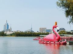 -莲花池公园