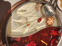 -菌自在·云南野生菌火锅(长安万达店)