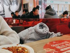 -阳阳中国饭(龙湖大兴天街)