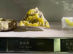 -中国地质博物馆