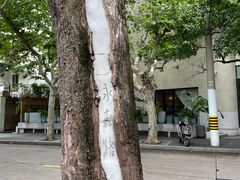 -Fridi Patisserie Cafe