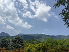 -国家植物园南园