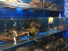 -蚝专家(北滘店)