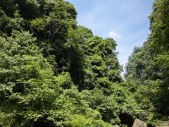 -碧峰峡风景区