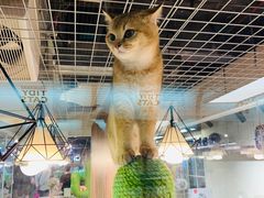 -宠物世家(仲盛世界商城店)