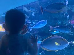 -海合安成都极地海洋公园