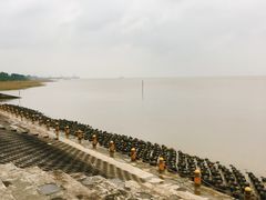-瀛洲公园