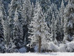 -白马王朗自然风景区