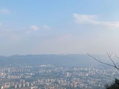 -缙云山景区