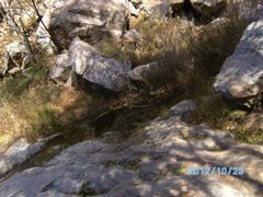 -鲁山国家森林公园