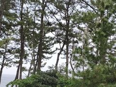 -柱状节理带
