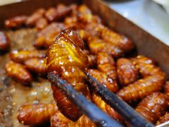 烤蚕蛹-老三李村河底戳子肉(总店)