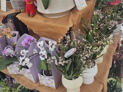 -世纪联华超市(外海店)